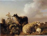 unknow artist Sheep 150 oil painting reproduction